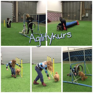 Agility-2