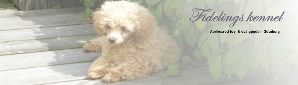 FIDELINGS KENNEL