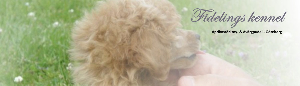 FIDELINGS KENNEL